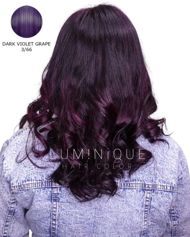 Luminique Hair Color 3/66 Dark Violet Grape 5