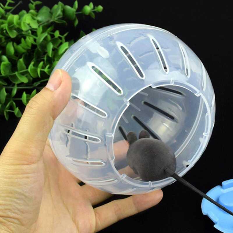 Product Introduction of TTS Homie Umisu ball outdoor pet fitness toy made of plastic used for small running 31