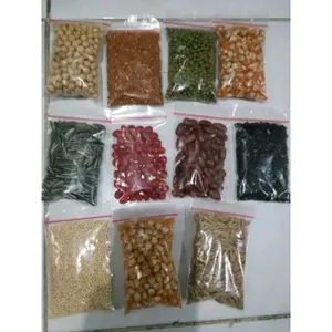 Paket isi biji bijian untuk kolase prakarya sekolah