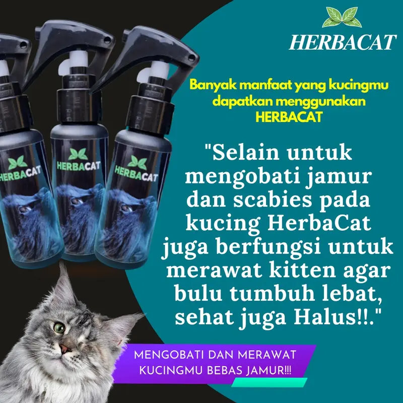 (BISA COD) HerbaCat Spray Obat Anti Jamur dan Scabies Kucing Alami Kesehatan Bulu Kitten fan kucing dan untuk pencegahan penyakit kulit pada kucing 2