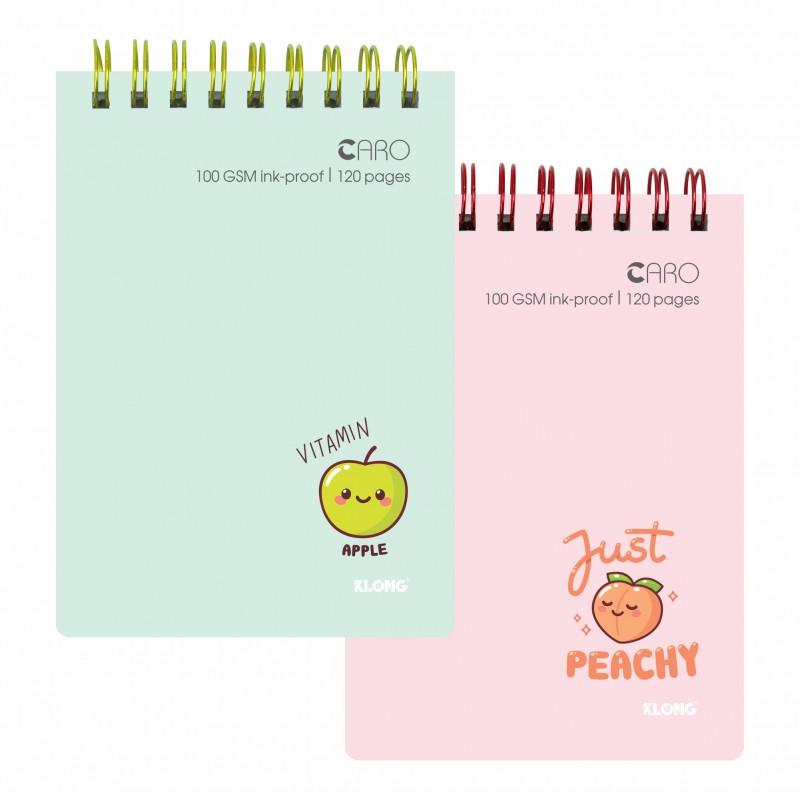 Sổ Caro lò xo kép ngang KLONG B7 120 trang 100 76; MS: 934