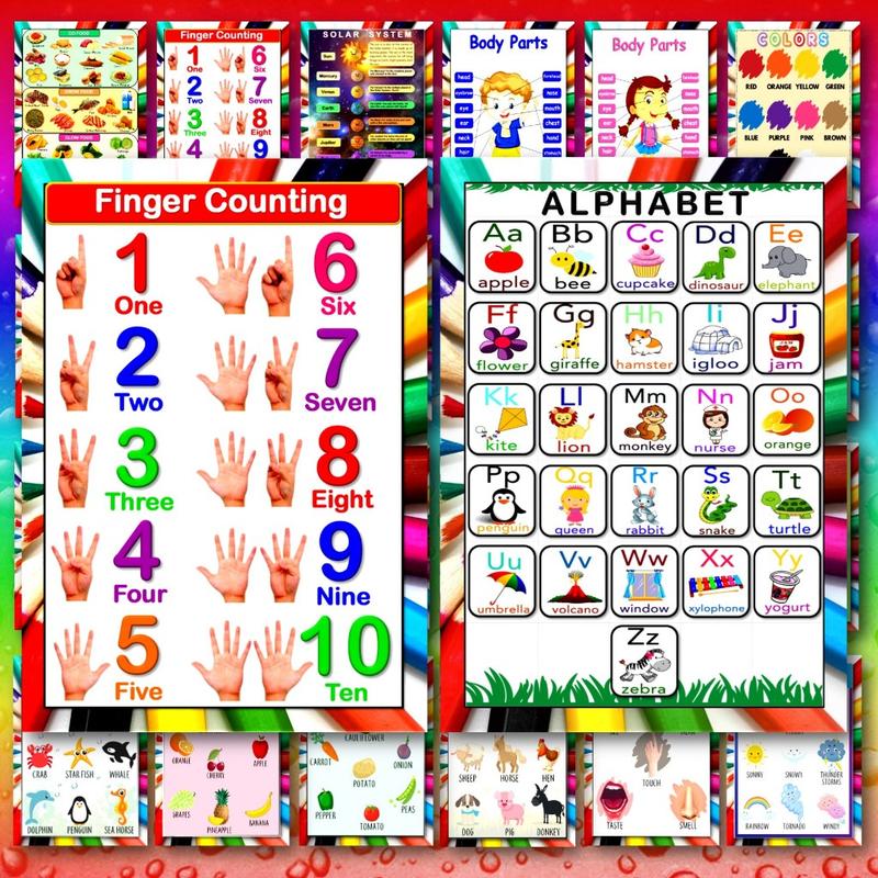 laminated educational wall chart for kids a4 size printed i - TikTok ...