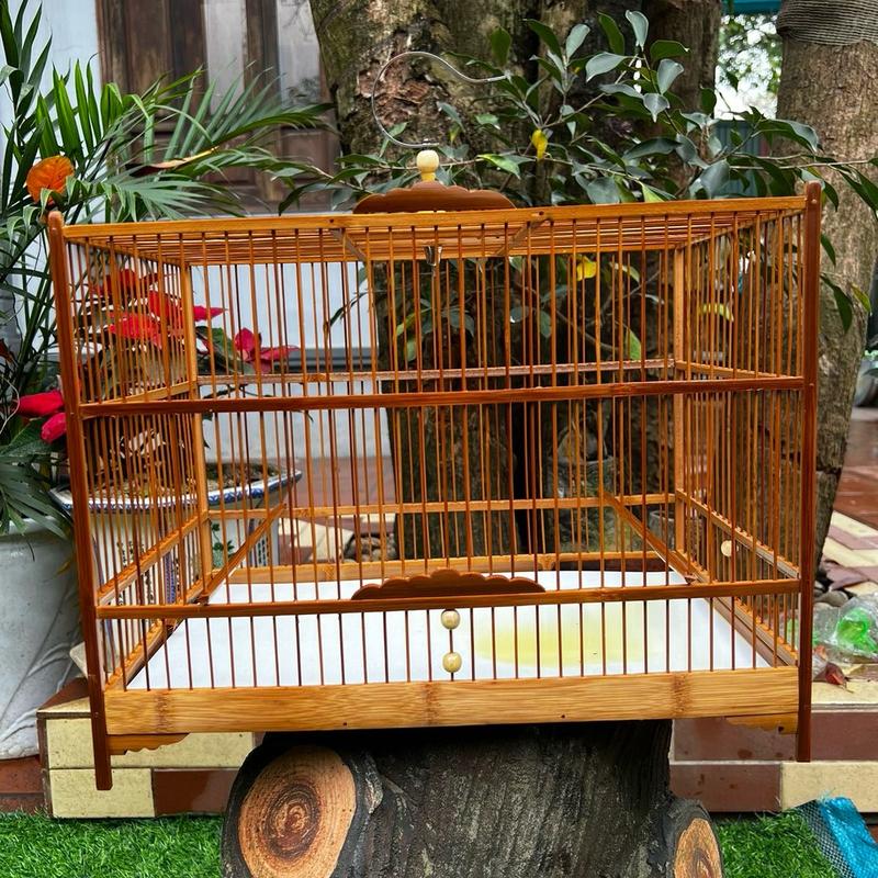 KHUNG LỒNG  tu rap chim tập lực cho vành khuyên và hút mật caurehut mat avi tregià