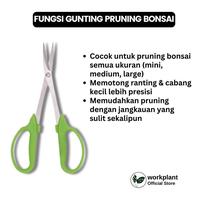 Gambar Workplant - Gunting Pruning Bonsai Stainless Steel Untuk Daun, Ranting Halus Tanaman dari workplant official Kota Surabaya 3 Tokopedia