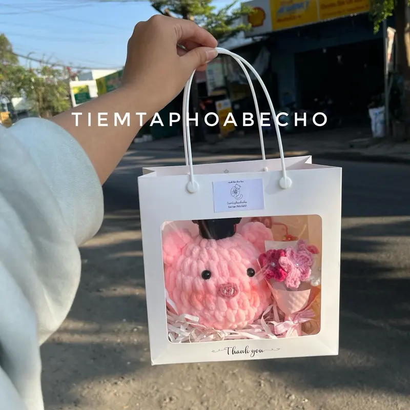 Set gấu bông tốt nghiệp heo len handmade kèm bó hoa mini handmade 0