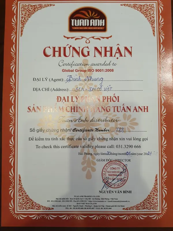 Ruột gối đầu bông gòn tinh khiết loại xuất khẩu size 45x65x8cm 4
