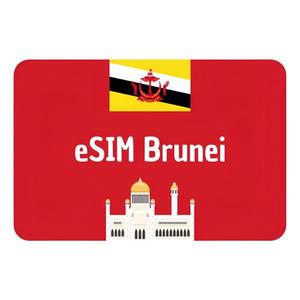 Social Buzz Esim Internet Datos | Brunei