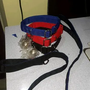 Kalung Kambing Etawa/Domba/Anjing dari Bahan Webbing Tabular