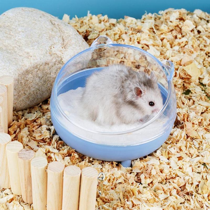 Product Introduction of Non-slip Crash Elevated Cat Dog Bowl 15 Degrees Raised PP Cat Food Bowls Safeguard Neck Puppy Cat Feeding Supplies Pet Supplies 3