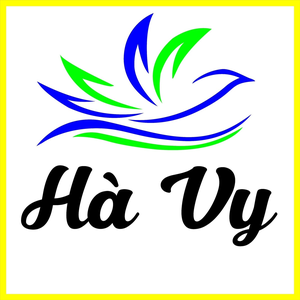 Hà Vy 365