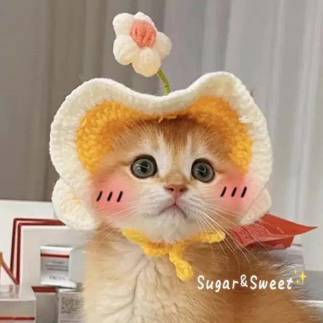 Hand-made Cat Hat Elastic Woven Cap Pet Hat Puppy Kitten Headwear Knitted Hat Party Photo Shoot Props Decoration Cat Accessories