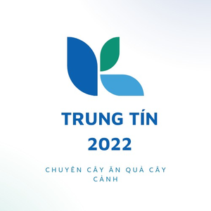 Trungtin2022