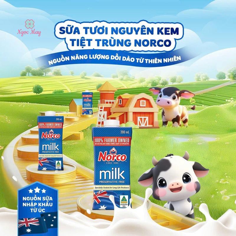 [ 1 Thùng ] Sữa Tươi Nguyên Kem Tiệt Trùng Norco - Nội Địa Úc Với Hàm Lượng Canxi Cao