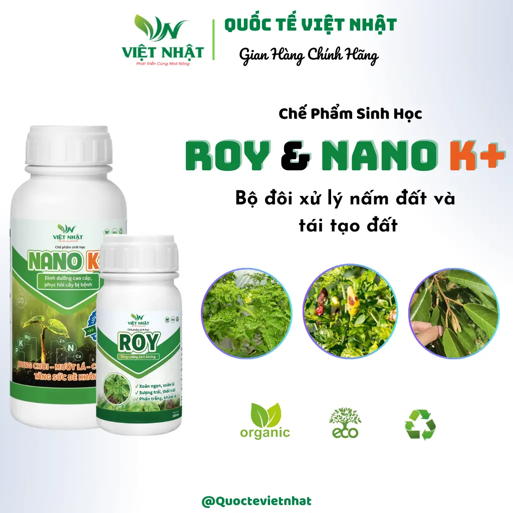 Combo Phòng ngừa xoăn ngọn, khảm, ngoảnh đầu lân, sượng trái - roy nano K+