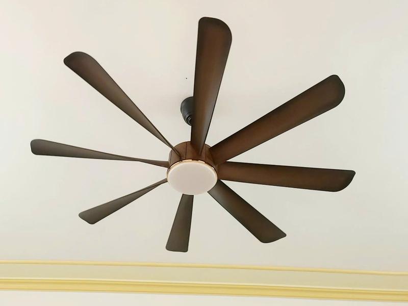 Quạt Trần 8 Cánh ABS nhiều phiên bản mầu (Có Dây Cáp An Toàn)  Đường Kính 1m52 - Điều Khiển 6 Cấp Độ Gió Cực Mát và 3 Chế Độ Ánh Sáng - Dùng cho Mọi Không Gian Nhà Việt - Fan, QuạT