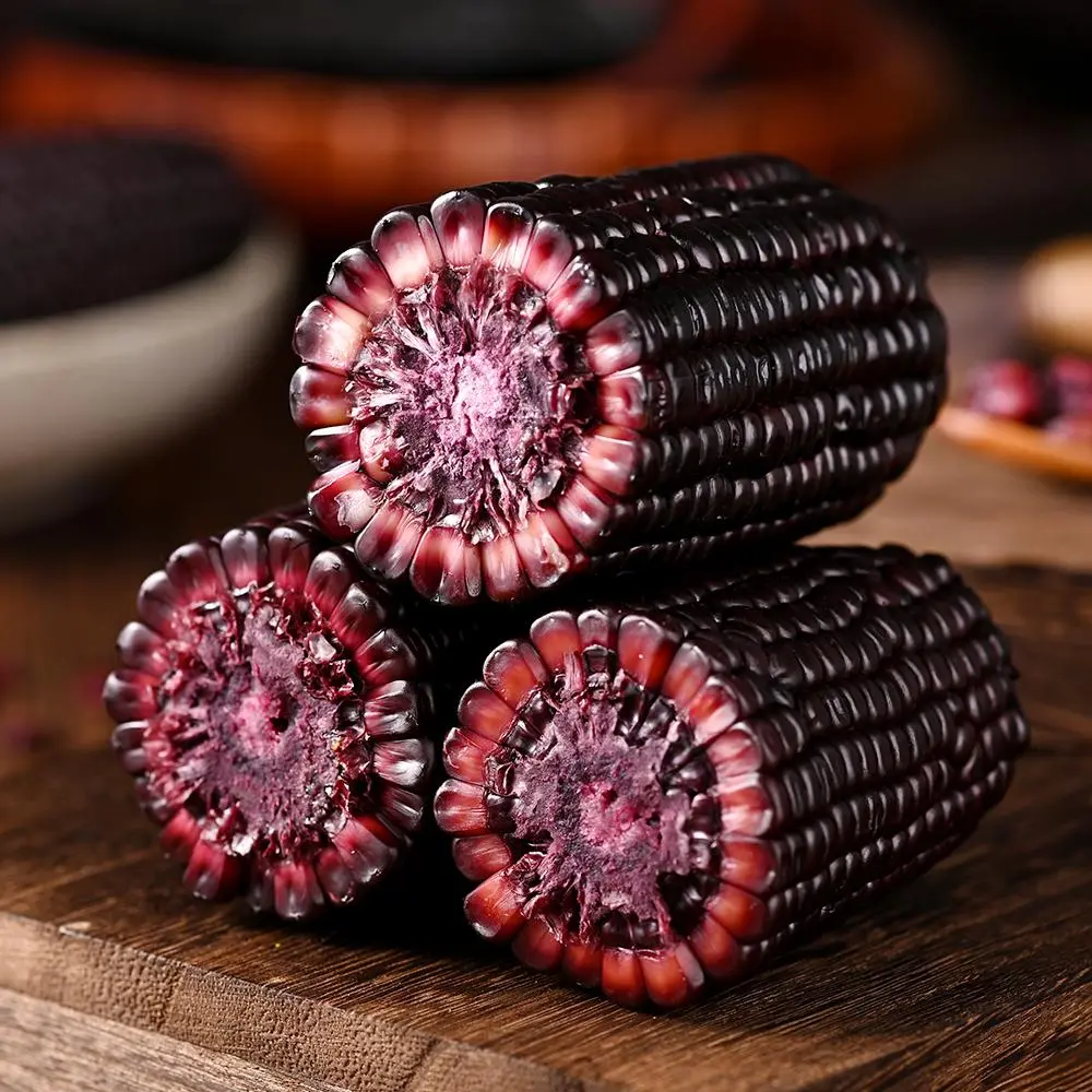 【8 sticks】breakfast Black Bear Chuck Black Chocolate Corn Nutritious Black Corn  Soft & Sweet Vacuum-Sealed