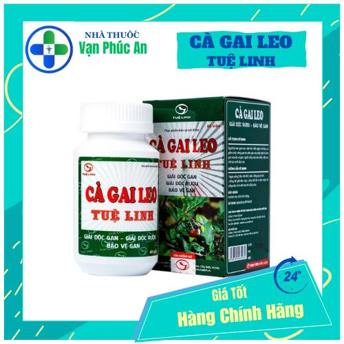 Cà Gai Leo Tuệ Linh - Giúp bảo vệ và tăng cường chức năng gan giải độc gan ngừa xơ gan Hộp 60v