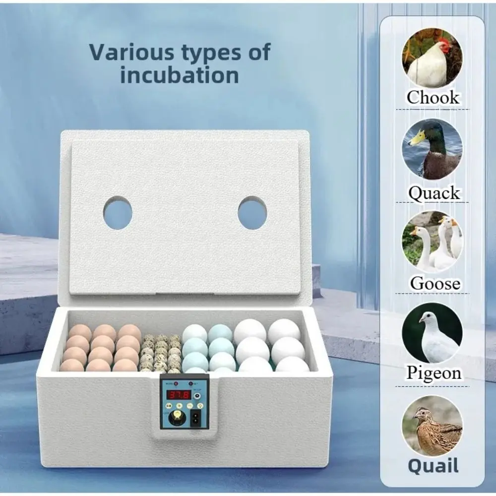 thfeng High Quality 24-hour Thermostatic Small Poultry Egg Incubator Temperature Control Full Automatic Farm Hatchery Machine Intelligent Quiet Biomimetic Waterbed Chicken Duck Quail Bird