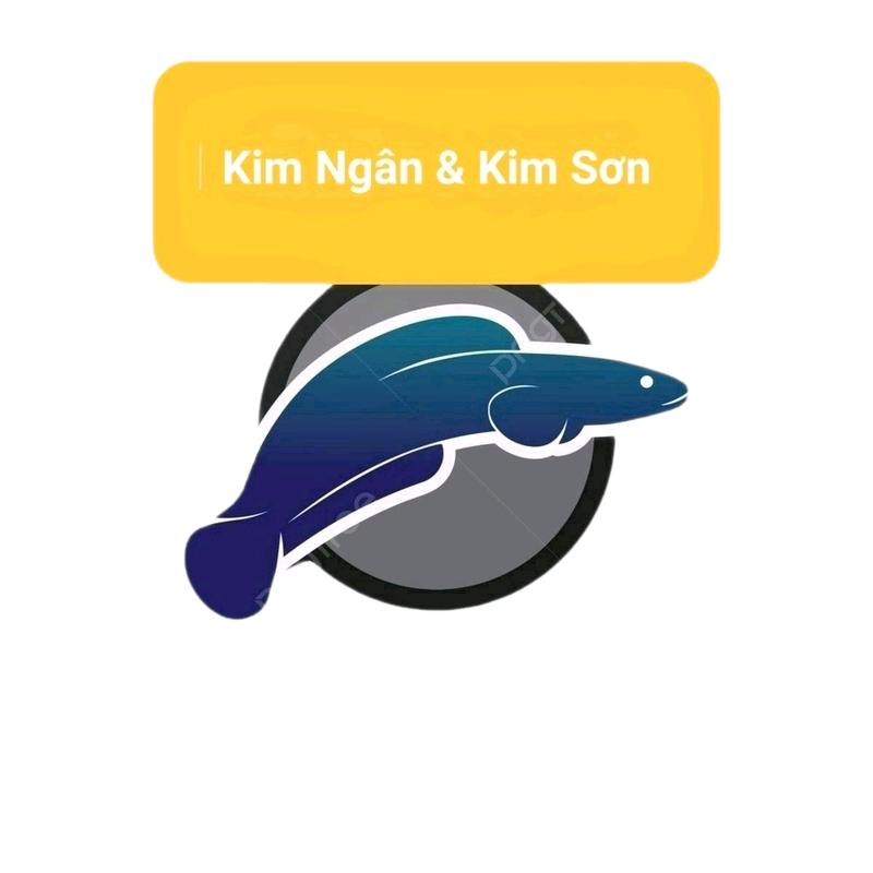 Decan ( KIM NGÂN, KIM SƠN ) hình quảng cáo siêu kute Decor Decal ( Cá cảnh ) 0