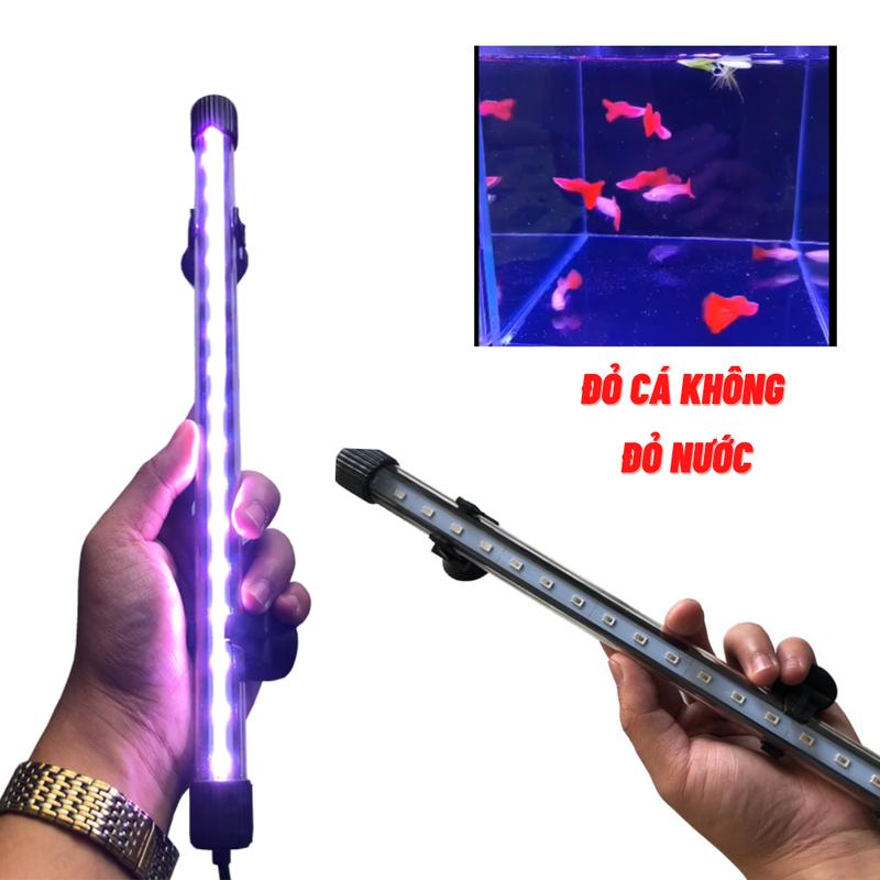 Đèn bể cá cảnh ĐỎ CÁ không đỏ nước