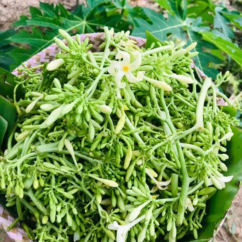 1kg hoa đu đủ đực khô Chè Trà Tea, 4