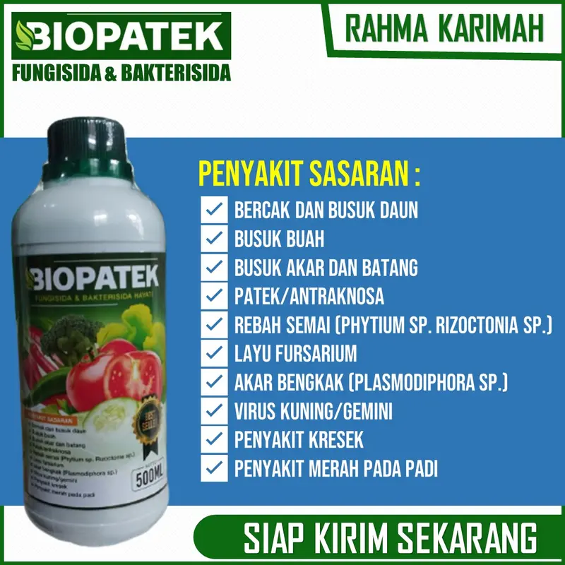 OBAT Layu Fusarium dan Layu Bakteri Cabe BIOPATEk 500 ML – Pupuk Organik Semprot Atasi Layu Buah, Daun dan Batang Cabe – Pupuk Semprot Atasi Layu Keriting Daun, Busuk Buah, Batang dan Busuk Akar Cabe – Pupuk Atasi Penyakit Tanaman Cabe 3