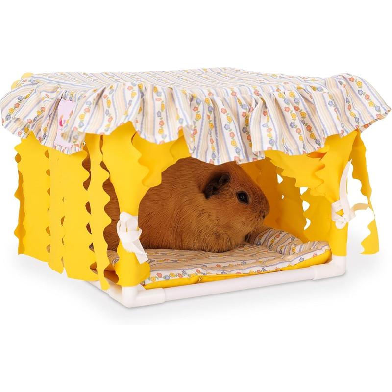 Guinea pig cube best sale