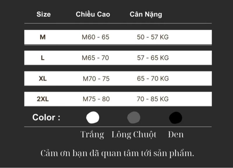 Product Introduction of Áo Thun Cotton Nam Nữ Oversized Hình Thêu - Thương Hiệu Uy Tín 0