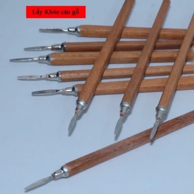 Cây khóe gỗ,cây lấy khóe m.óng cán gỗ 5
