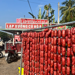 LẠP XƯỞNG CÔ HOÀ