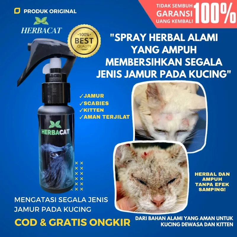 (BISA COD) HerbaCat Spray Obat Anti Jamur dan Scabies Kucing Alami Kesehatan Bulu Kitten fan kucing dan untuk pencegahan penyakit kulit pada kucing 0