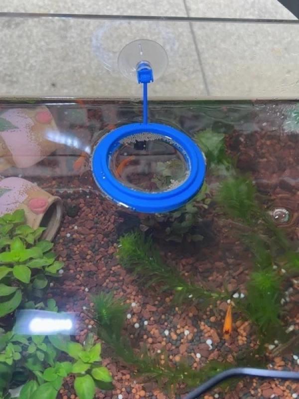 Product Introduction of Aquarium fish tank feed ring floating food tray feeder square circle accessories fish food feeder black suction cup 18