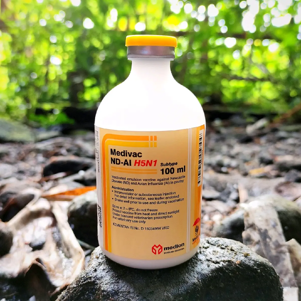 Vaksin Medivac ND AI dosis 100ml Vaksin Ayam Mencegah Flu Burung Tetelo Kepala Memutar Wabah Aratan Plus Anti Stress Sehingga Menyeimbangkan Imun Tubuh Ayam