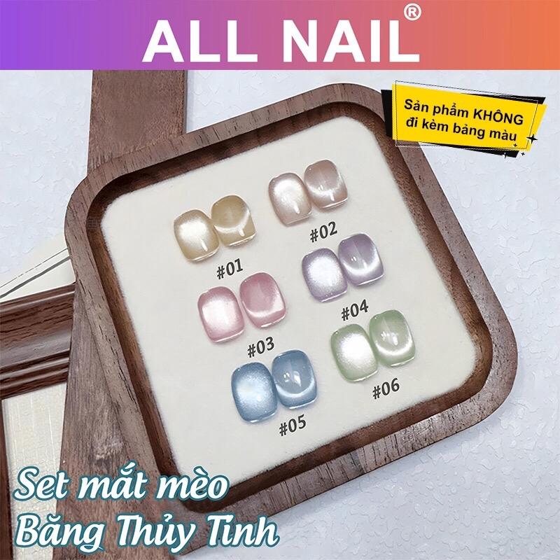 [ All Nail ] Set 6 màu mắt mèo Băng Thuỷ Tinh dạng hũ 5ml ( Không kèm bảng màu ) - Mắt mèo ánh trăng siêu sáng nail hottt hitt