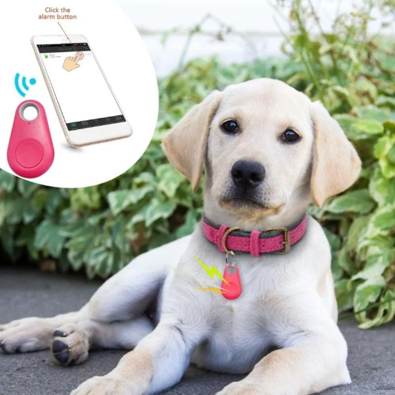 Thiết Bị Theo Dõi Bluetooth GPS Cho Thú Cưng, Cầm Tay Thời Trang, Chống Thất Lạc, Làm Bằng Nhựa, Thiết Bị Theo Dõi Thông Minh Bluetooth 5.0, Thiết Bị Theo Dõi Không Dây, Định Vị Thú Cưng Mini, Thích Hợp Cho Chìa Khóa Ví Ô Tô 1