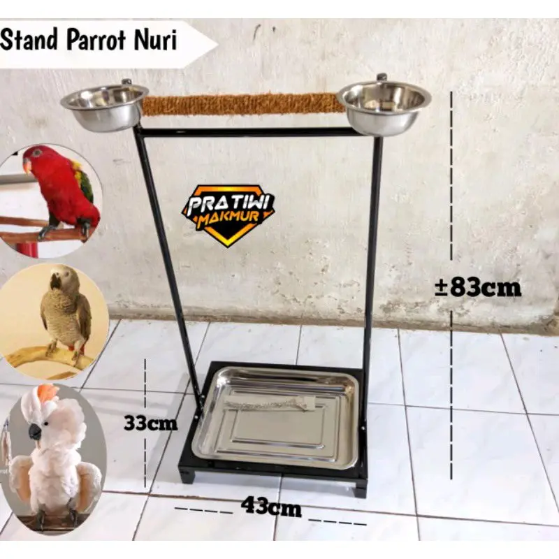 Stand Tangkringan Parrot Nuri Tangkringan Training Tinggi 75cm