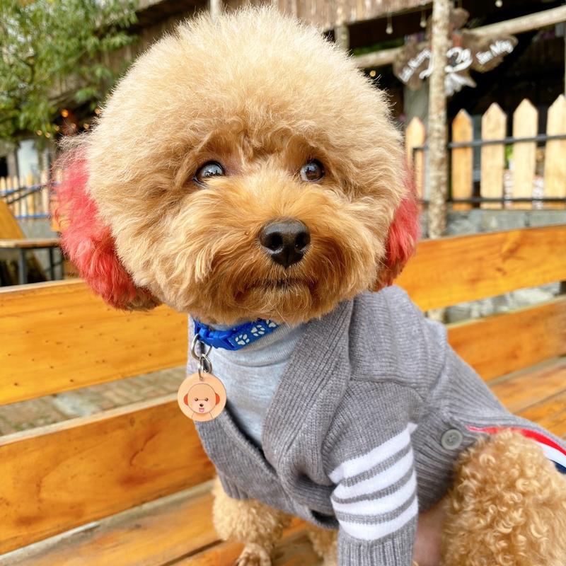 Áo Cardigan Xám cho thú cưng