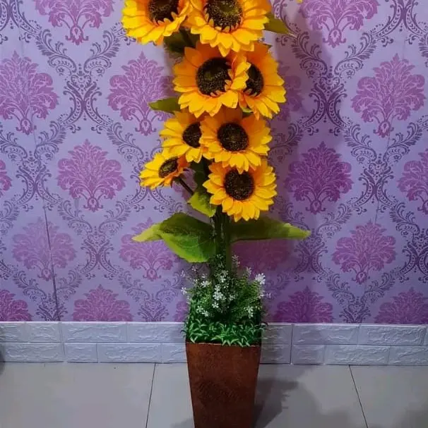 bunga matahari jumbo