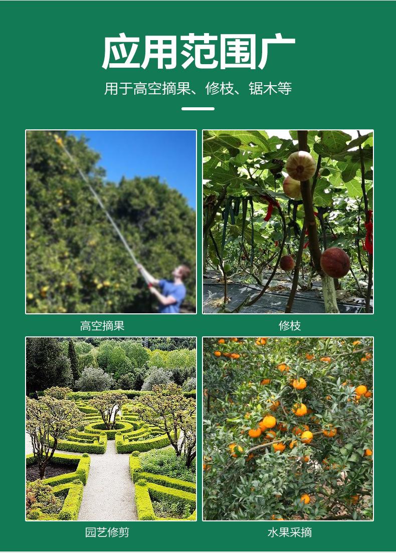 Product Introduction of Winda High Branch Fruit Picking Scissors Telescopic Fruit-Picking Device Gardening Scissor Litchi Longans Pomegranate Persimmon Picking Scissors Garden Tools 6
