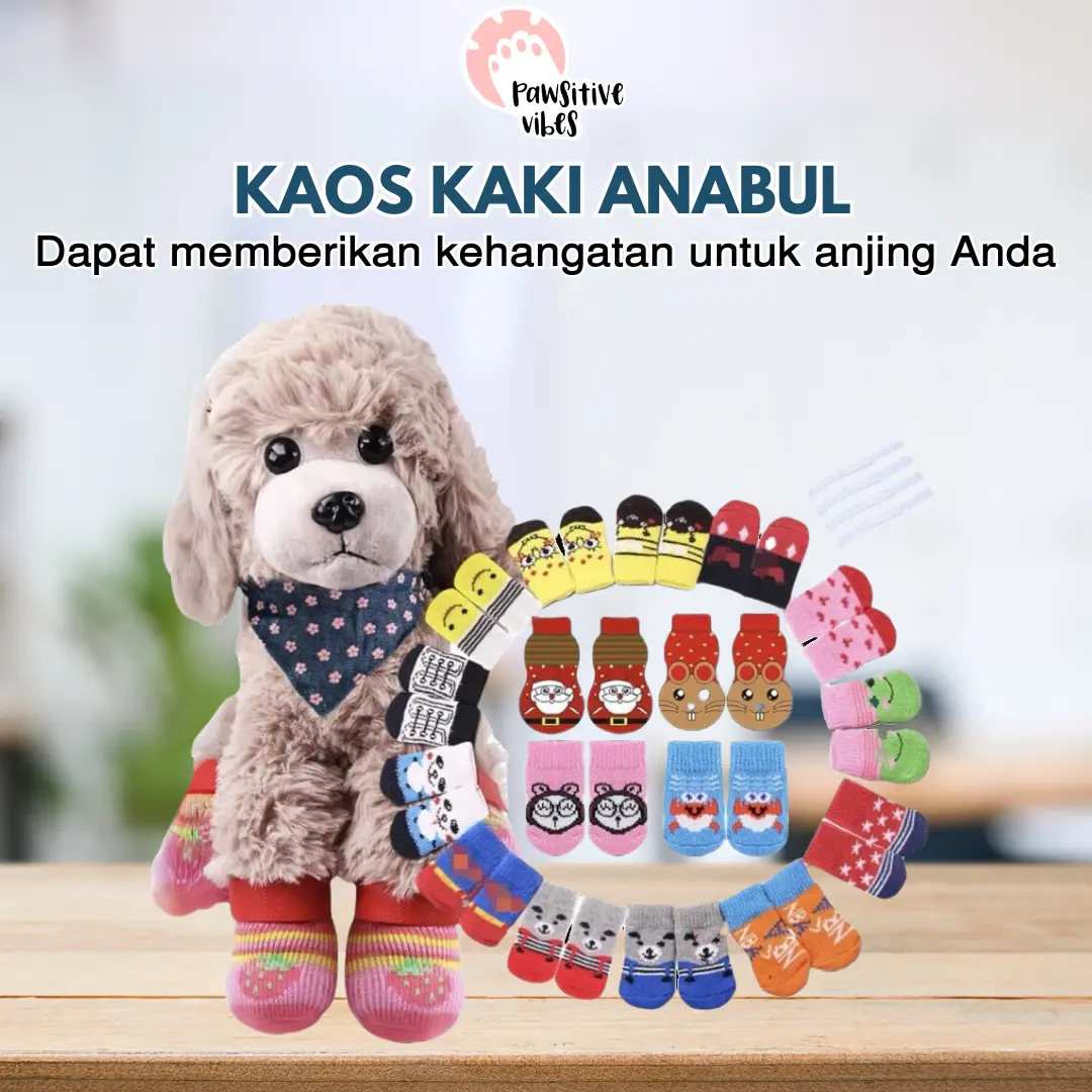 Kaos Kaki Hewan Anabul Anjing Kucing 4 Pcs