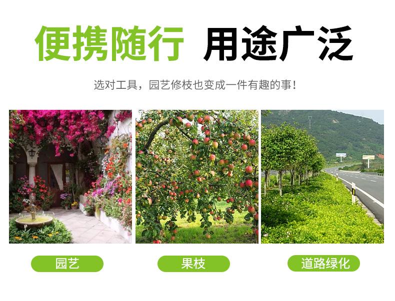 Product Introduction of Dezhizhu Green Bamboo Scissors Iron Handle Lawn Shears Manganese Steel Pruning Shear Hedge Shears Gardening Holly Scissors Tea Scissors Pruning Tool 14