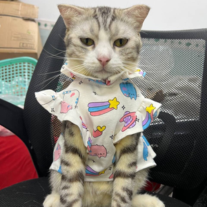 Kho Sỉ Áo Cún Mèo Misa