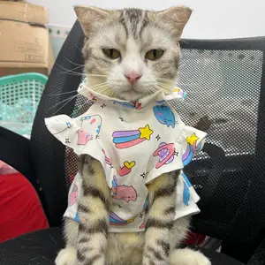 Kho Sỉ Áo Cún Mèo Misa