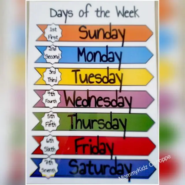 COD Days of Week A4 size Laminated Educational Wall Chart - TikTok Shop ...