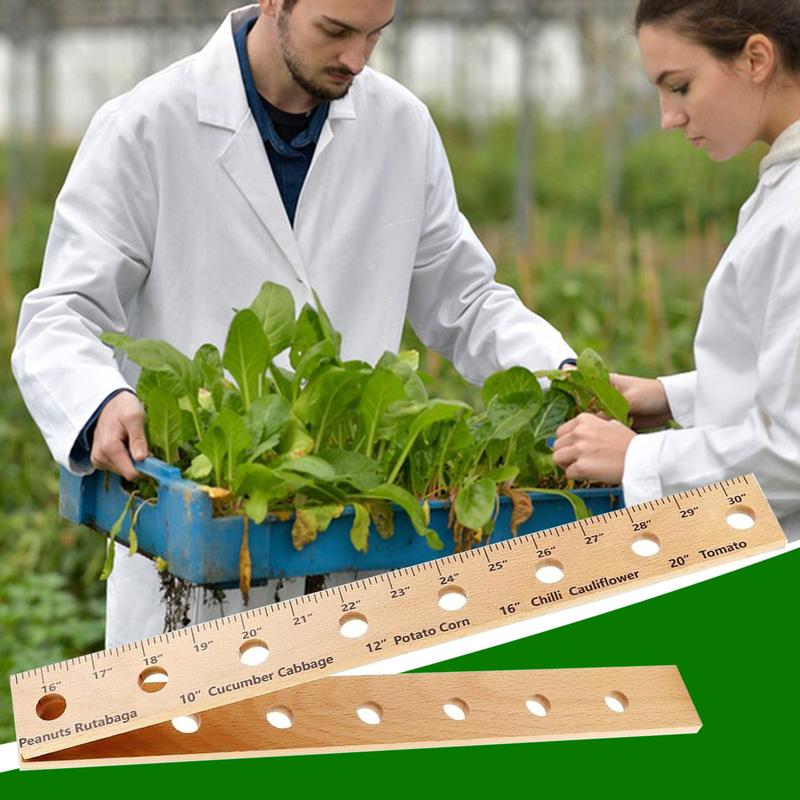 Wooden Plant Ruler Foldable Planting Ruler with Holes Smooth - TikTok ...