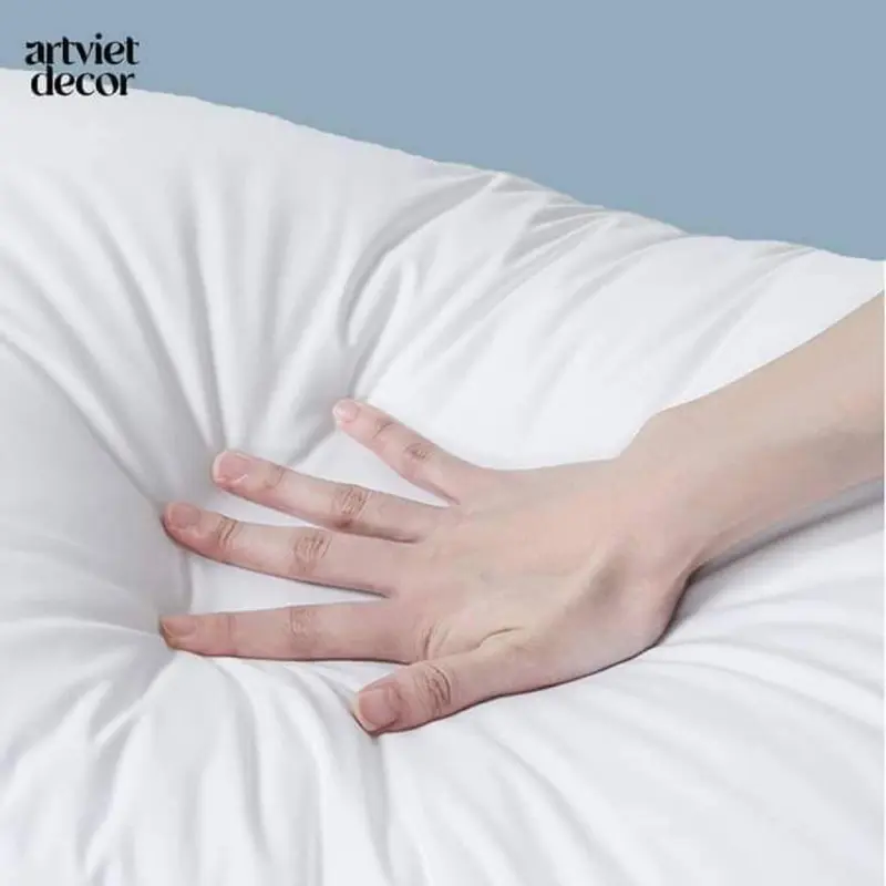 Cobom 2 cái ruột gối nằm Microfiber khách sạn cao cấp 1 cấp 50x70cm ! Nặng 1kg 4g   cho 1 cái 6