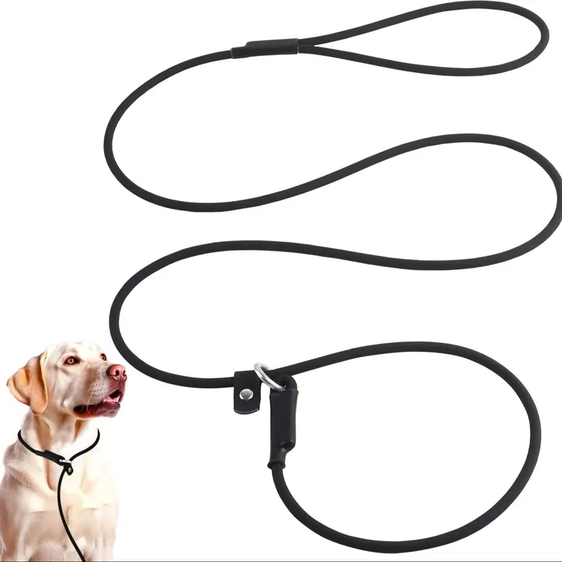 Nylon Dog Leash, Pet Lead With Buckle, Adjustable Pet Walking Leash for Dogs & Cats 0