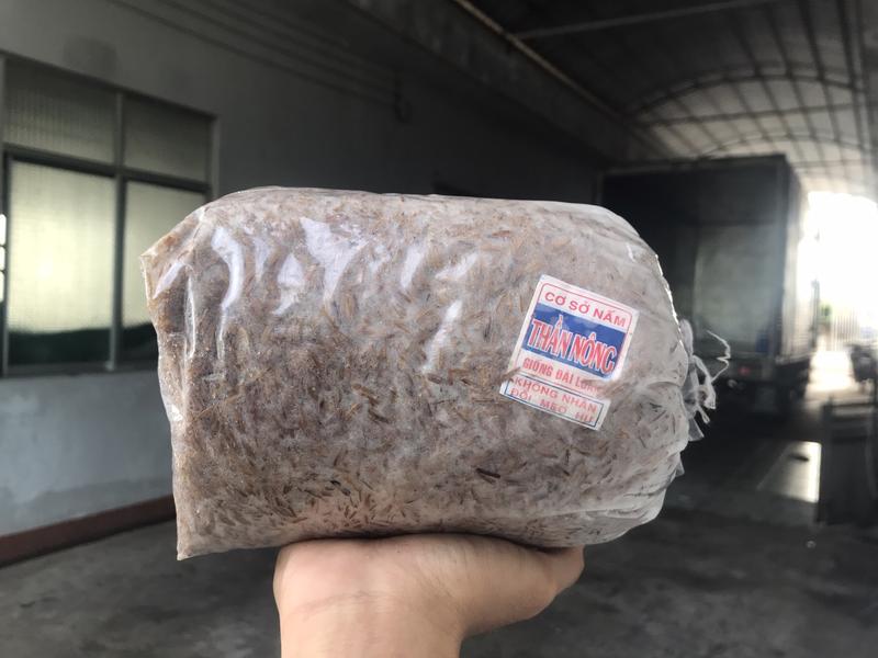 Combo 8 Meo Nấm Rơm Thần Nông (550g) - Tặng Tài Liệu Trồng Nấm Rơm Trong Nhà 4