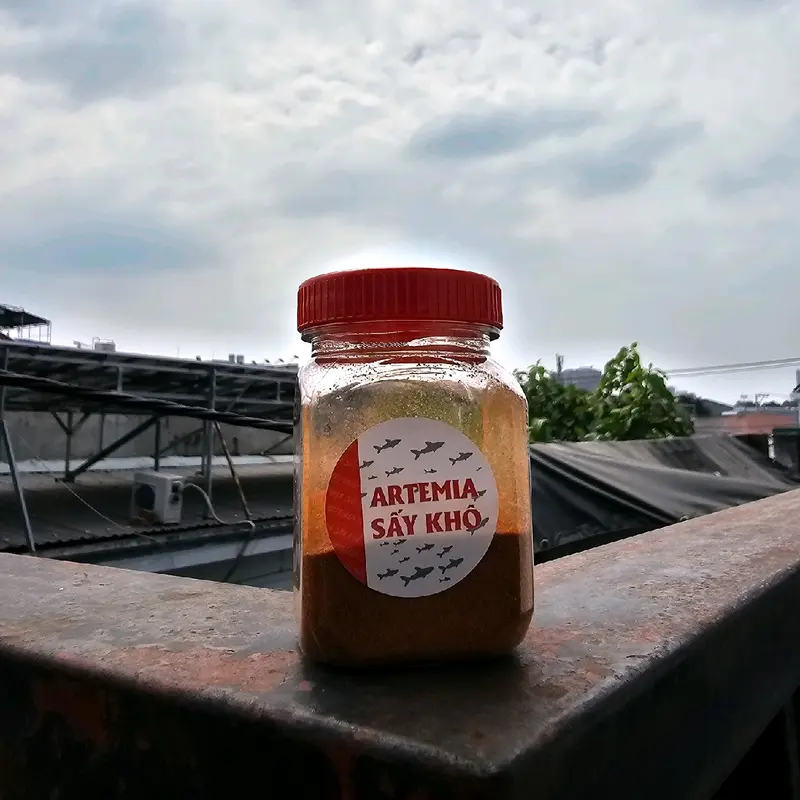 Artemia sấy khô - Thức ăn cho cá, thức ăn cho cá bột nhiều chất dinh dưỡng. giúp cá khỏe cá sung hơn. 1