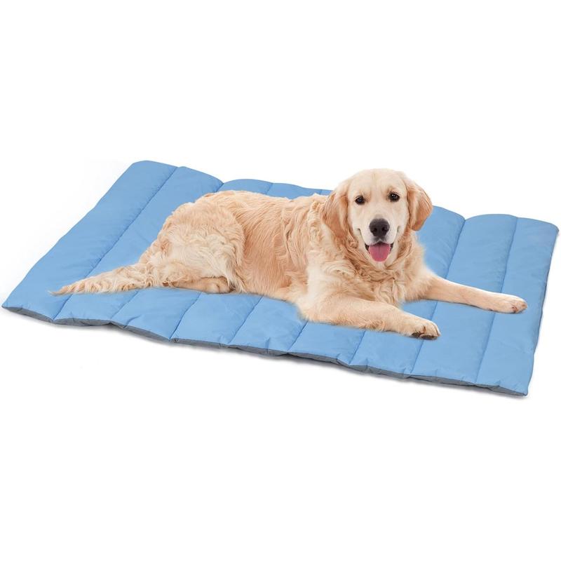 How to clean a large dog bed best sale